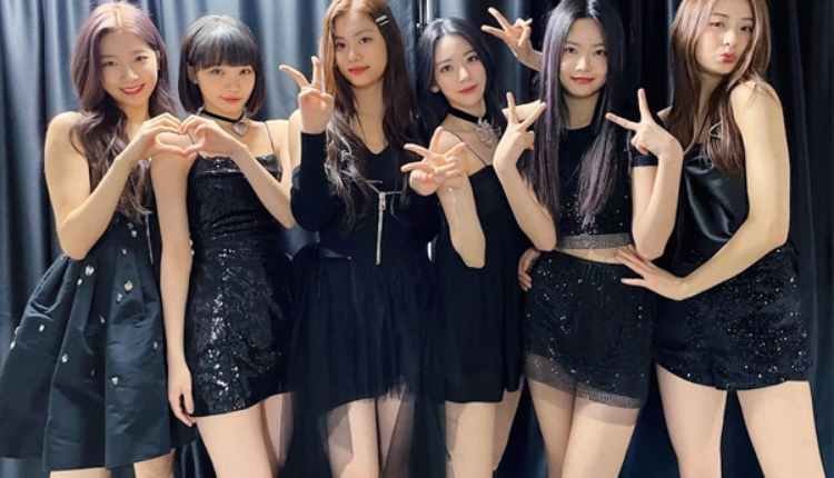 ماذا تعتقد حول فرقة ليسيرافيم ؟ ردود فعل Knetz