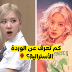 اختبار هل تعرف روزي بلاك بينك جيدا ؟ الستان الحقيقي من يمكنه اجتياز هذا التحدي