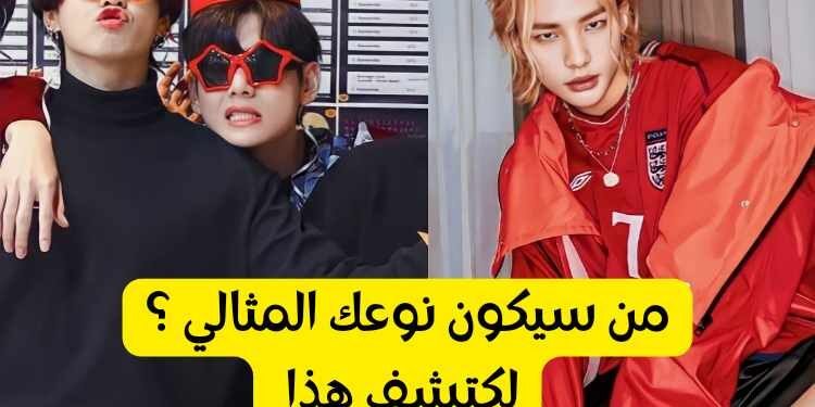 اختبار من الآيدول المثالي لك