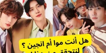 تي اكس تي ام انهايبن ؟ دعونا نقرر أي مجموعة كيبوب تنتمي إليها