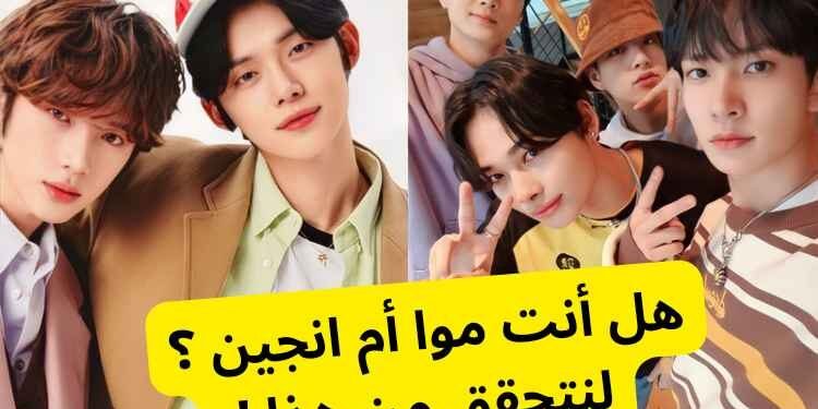 تي اكس تي ام انهايبن ؟ دعونا نقرر أي مجموعة كيبوب تنتمي إليها