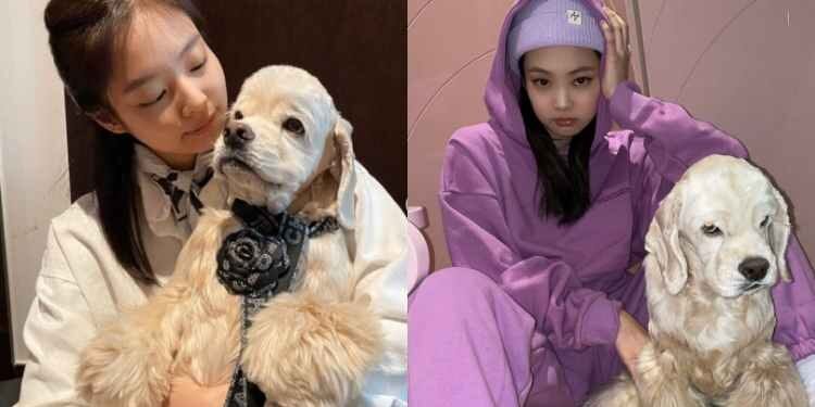 تكشف جيني بأنها فقدت كلبها المحبوب كاي