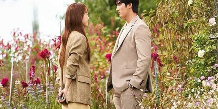 مسلسل أراك في حياتي التاسعة عشر : القصة , الابطال