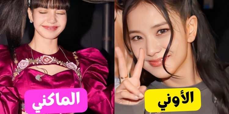 اختبار جيسو ام ليسا من بلاكبينك سيحدد من تشبهك بدقة ؟