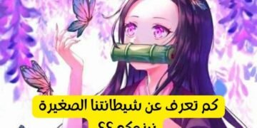 اختبار نيزوكو : كم تعرف عن شيطانة ديمون سلاير