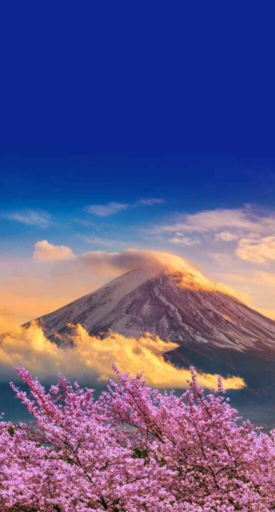 إلى أي دولة آسيوية ينتمي قلبك؟
