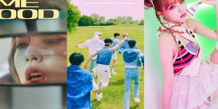 عودات الكيبوب لشهر اغسطس 2023