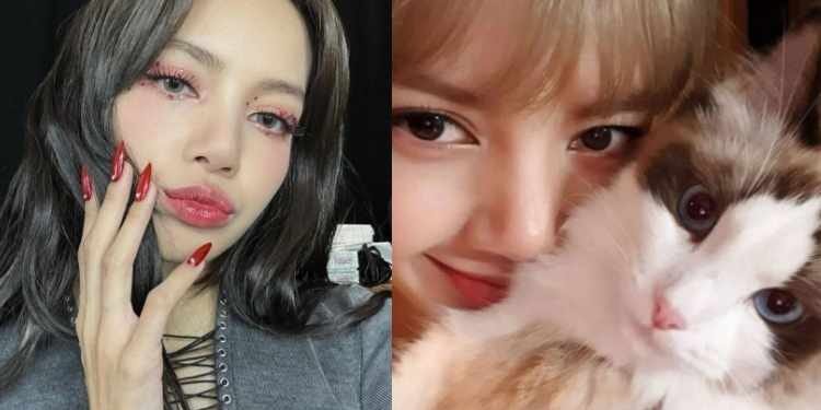 ليسا اكثر ايدول كيبوب متابعة على الانستغرام 2023