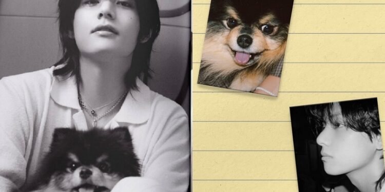 البوم كيم تايهيونغ Layover بمشاركة يونتان : اليكم بعض التفاصيل