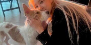 الاشادة بحياة روزي بلاكبينك المهنية الخالية من الفضائح : آراء الكوريين