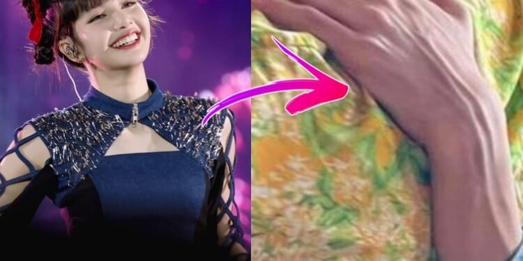 أيدي ليسا تبدوان كأيدي رجل : الآراء