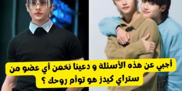 اختبار: أي عضو من فرقة ستراي كيدز هو توأم روحك ؟