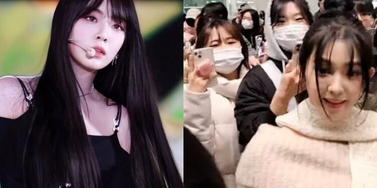 دفع ايرين من ريد فيلفيت بقسوة خلال الحشد الكبير في المطار