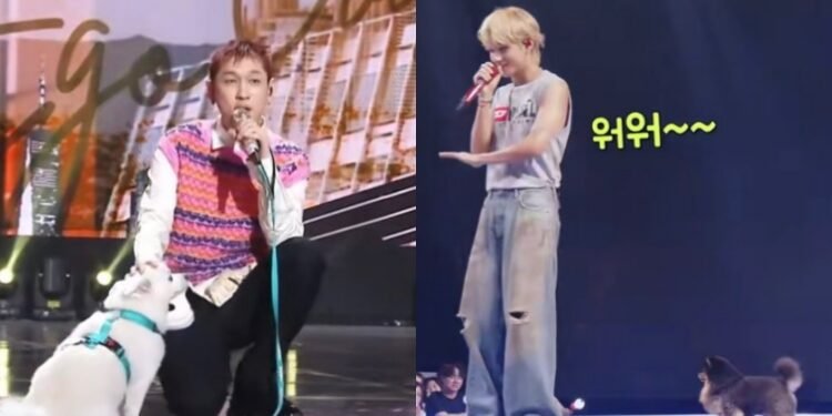 يسخر الارمي من كراش الذي نسخ مفهوم تايهيونغ " يونتان ممهد الطريق "