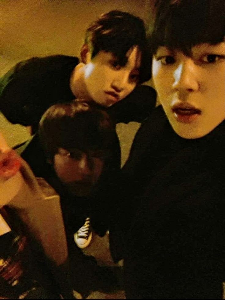 صور ثلاثي بتس الفوضوي جينجيكوك " جين جيمين و جونغكوك " : الآراء