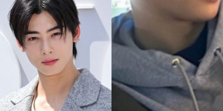 صورة شقيق تشا اونوو تثير فوضى على المنتديات الكورية: آراء