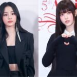 من برأيك العضوة التي تمثل هوية نيوجينز : نقاش الكوريين