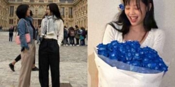 والدة جيني هي من كانت ترسل الأزهار الزرقاء لابنتها : آراء الكوريين