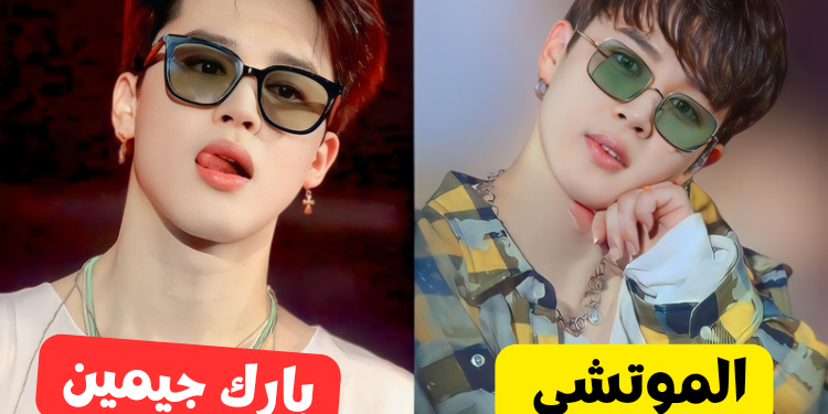 اختبار بارك جيمين ام الموتشي أي نسخة تناسبك ؟