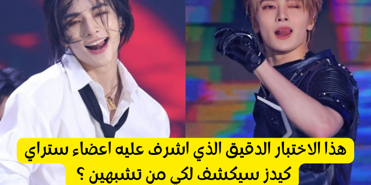 اختبار من تشبه من ستراي كيدز 2024 ؟