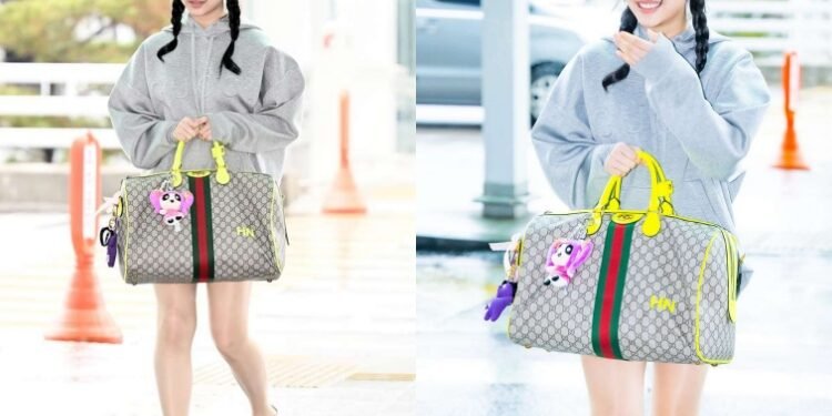 هاني نيوجينز لا تناسب غوتشي : آراء الكوريين