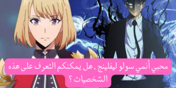 اختبار انمي سولو ليفلينج