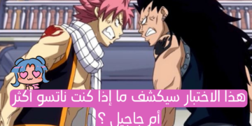 اختبار هل أنت ناتسو أو جاجيل من فيري تيل ؟