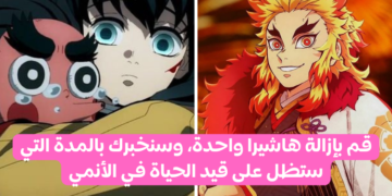 اختبار قاتل الشياطين : قم بإزالة هاشيرا، وسنخبرك بالمدة التي ستظل على قيد الحياة في الأنمي