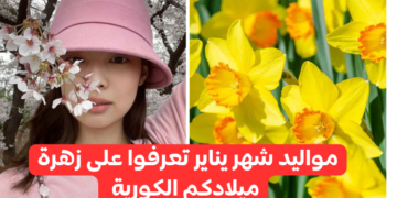 ما هي زهرة ميلادك الكورية - يناير ؟