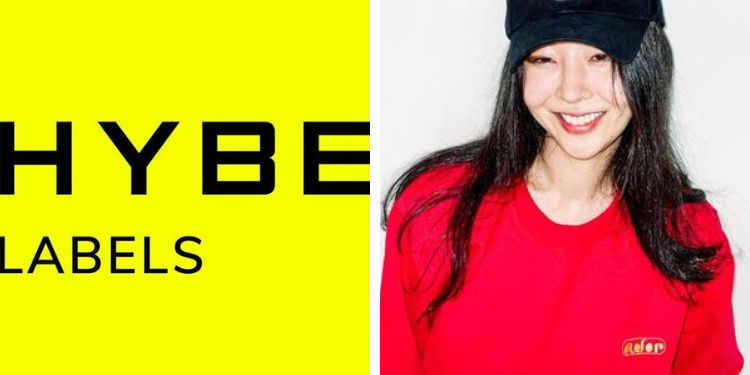 مين هيجين قامت بتسريب معلومات شخصية لفناني هايب