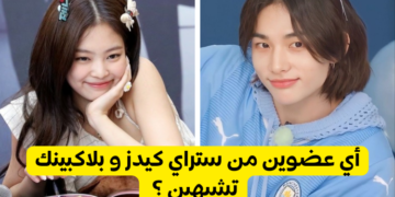 اختبار بلاكبينك ستراي كيدز : إذا كنت مزيج من عضوين من سيكونان ؟