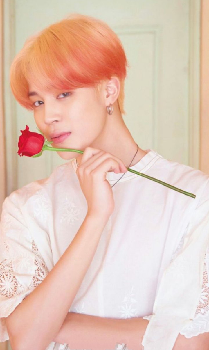 من حبيبك من BTS ؟