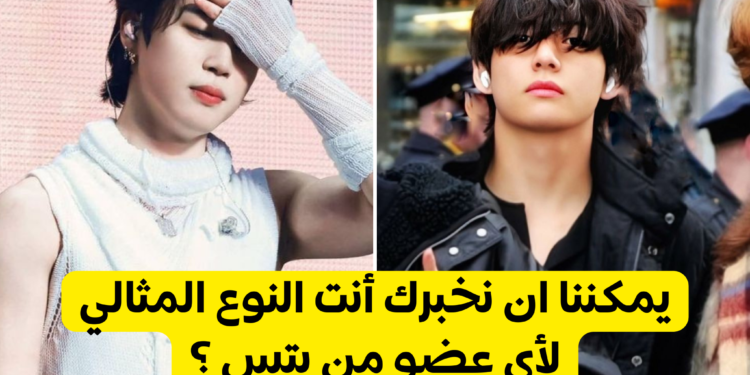 اختبار النوع المثالي لاعضاء بتس ؟