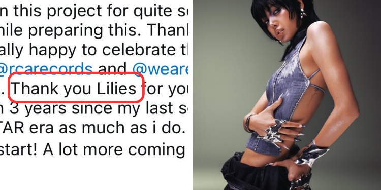 ليسا تشكر المعجبين المنفردين و تتجاهل البلينك : آراء