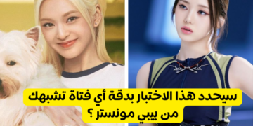 من تشبهك من بيبي مونستر ؟