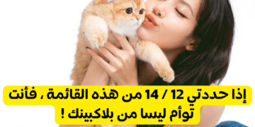 هل تشبه ليسا من بلاكبينك ؟