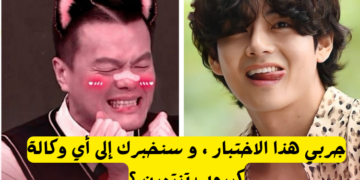 إلى أي شركة كيبوب تنتمي؟