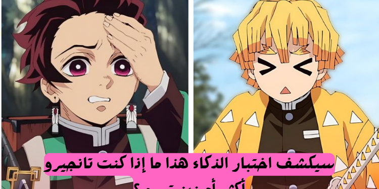 اختبار تانجيرو أم زينيتسو : قم باختبار الذكاء هذا و سنخبرك من تشبه ؟