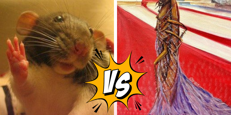 ماذا تختار من بين خيارين سيئين؟