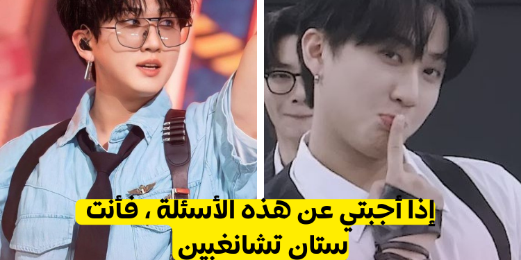 هل أنت ستان تشانغبين من ستراي كيدز ؟