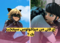 اختبار أي فتى ميراكولوس معجب بك ؟