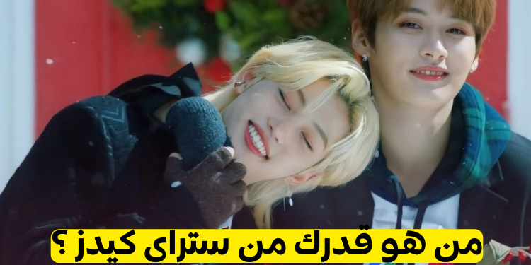 اختبار من هو قدرك من ستراي كيدز ؟