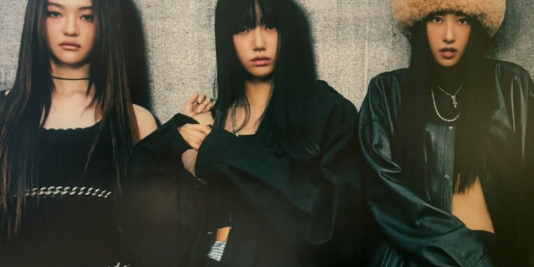 اعضاء ميووف : آراء الكوريين