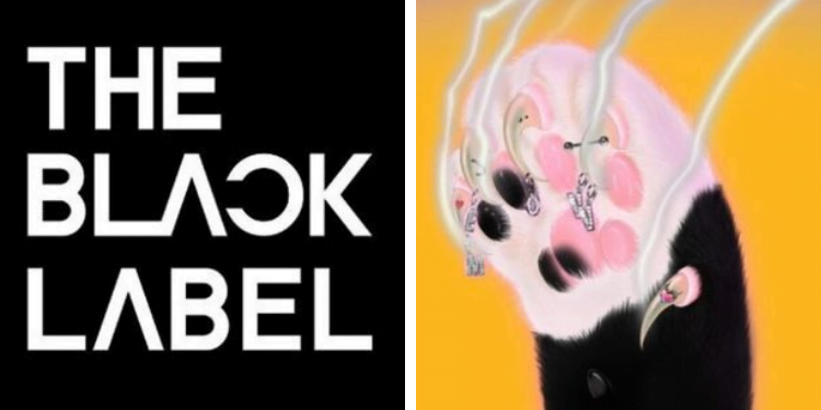 تيدي يقدم فرقة الفتيات القادمة MEOVV : آراء الكوريين