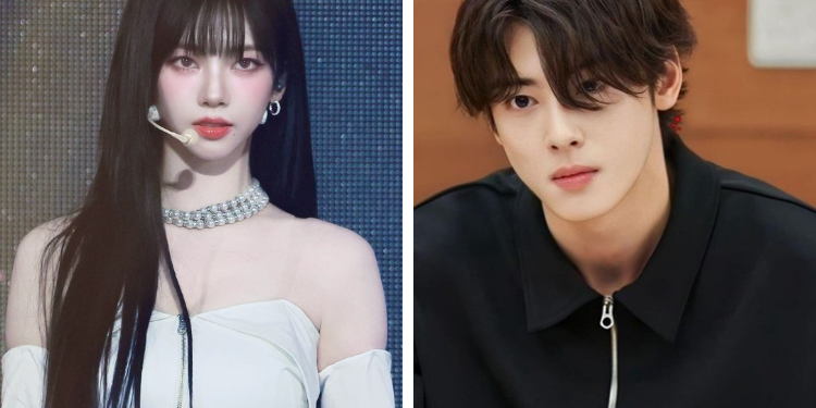 سمعة العلامة التجارية الفردية للآيدولز لشهر أغسطس