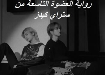 رواية العضوة التاسعة من ستراي كيدز ⋆.˚🦋༘( بارت 8 )⋆