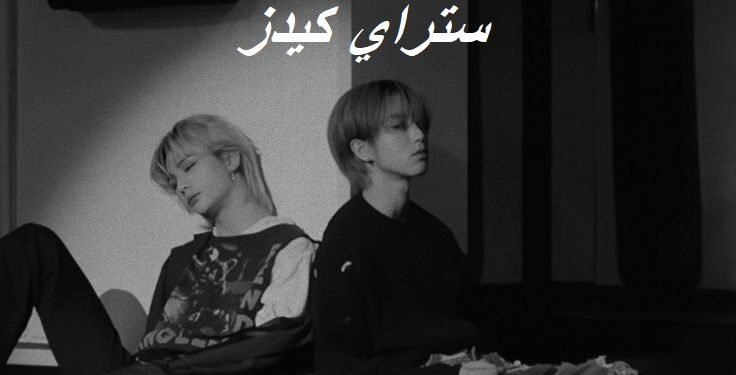 رواية العضوة التاسعة من ستراي كيدز ⋆.˚🦋༘( بارت 8 )⋆