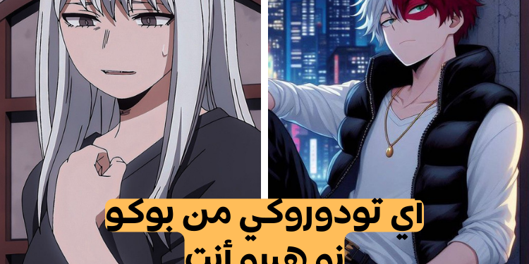 اختبار أي تودوروكي من بوكو نو هيرو أنت ؟