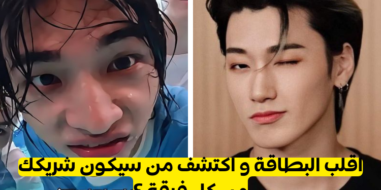 اكتشف شريكك من كل فرقة ⭐