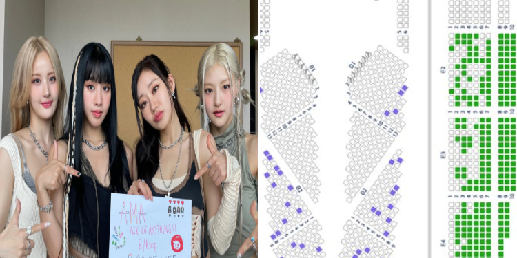 حفل كيس اوف لايف فارغ : آراء الكوريين